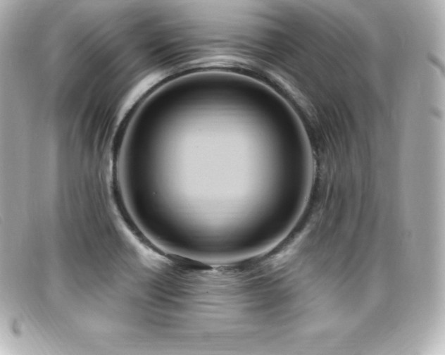 X0000099481418200805091559