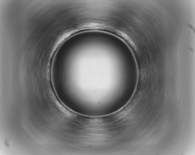 X0000099481421200805091559