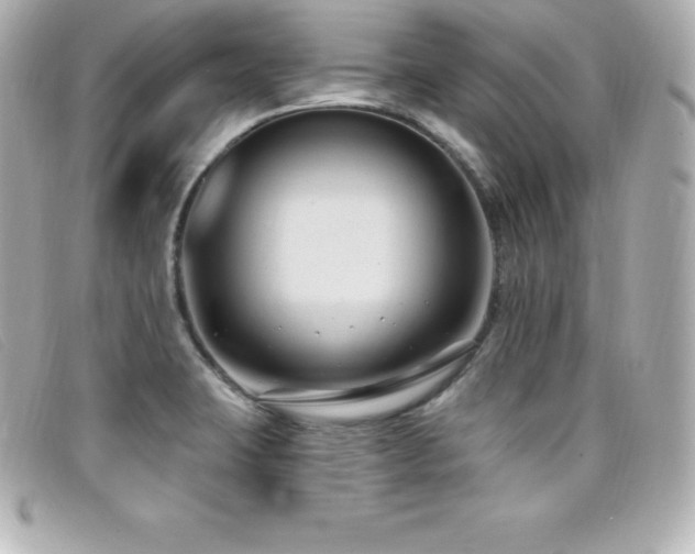 X0000099481423200805091559