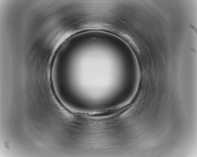 X0000099481424200805091559