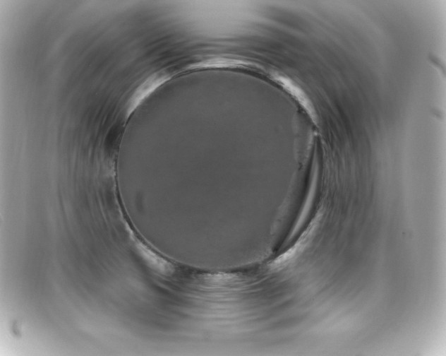 X0000099481425200805091559