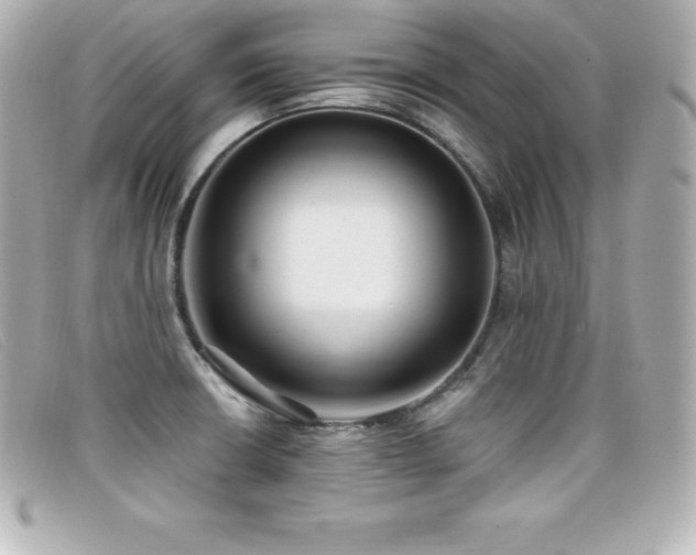 X0000099481426200805091559