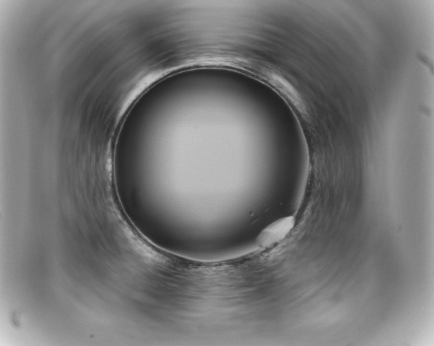 X0000099481428200805091559