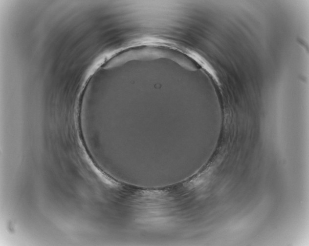 X0000099481429200805091559