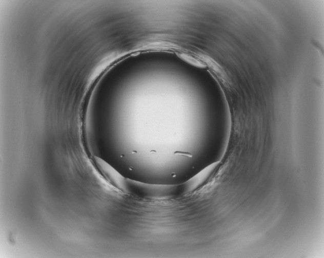 X0000099481430200805091559