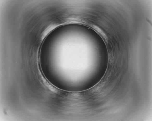 X0000099481431200805091559