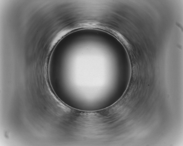 X0000099481432200805091559