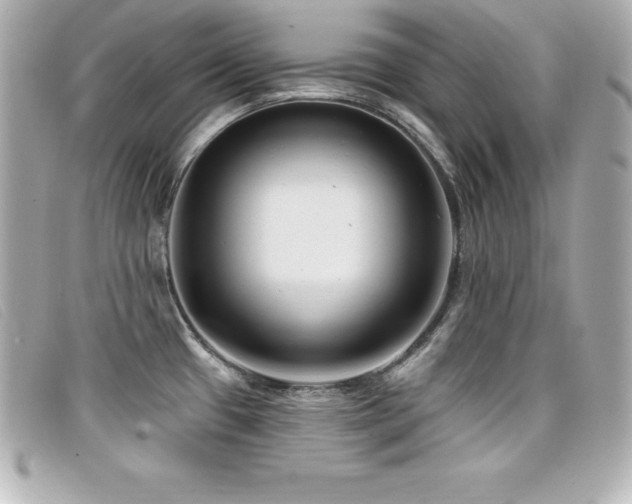 X0000099481433200805091559