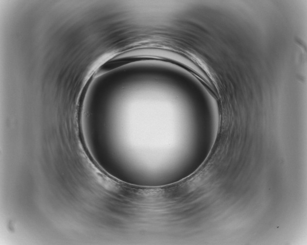 X0000099481434200805091559
