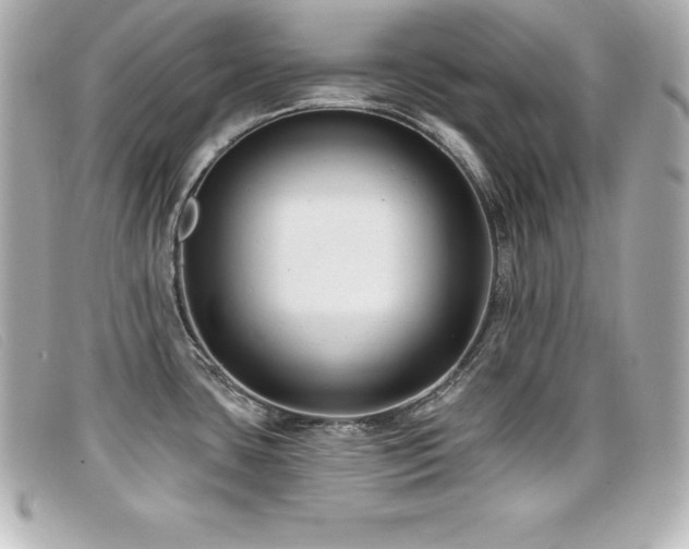 X0000099481435200805091559