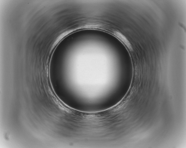 X0000099481436200805091559