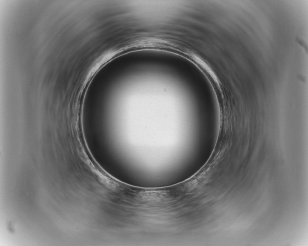 X0000099481437200805091559