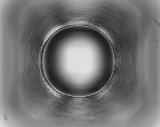 X0000099481438200805091559