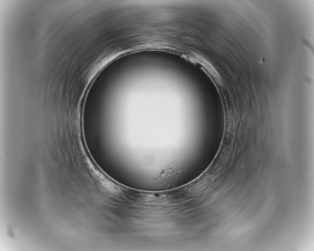 X0000099481439200805091559