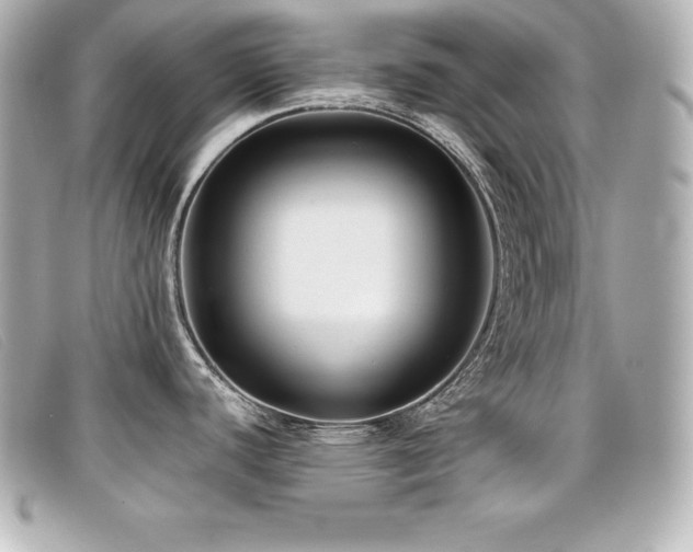 X0000099481440200805091559