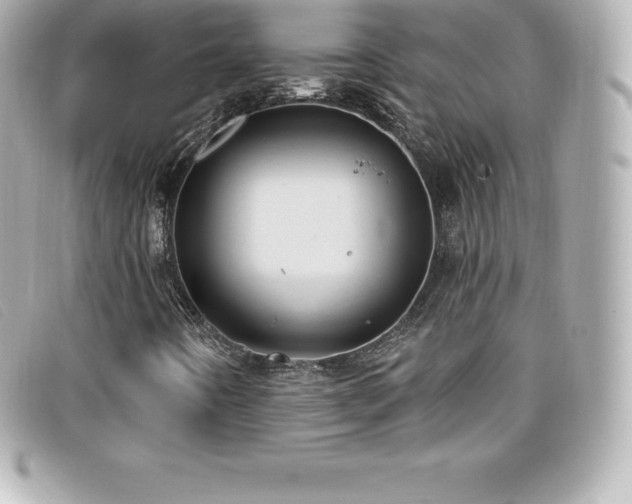 X0000099481442200805091558