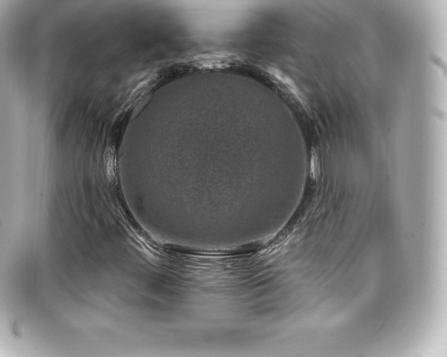 X0000099481444200805091558