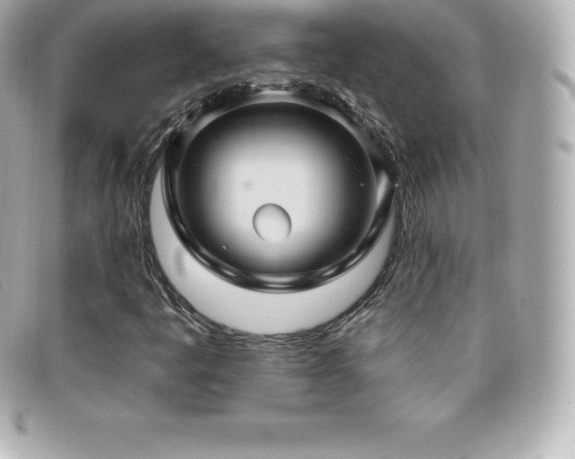 X0000099481445200805091558