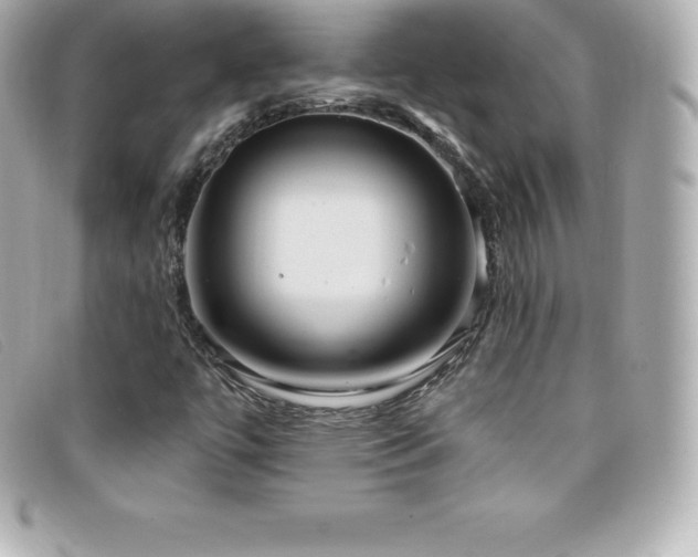 X0000099481447200805091558