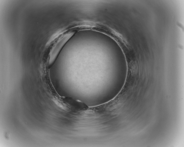 X0000099481448200805091558