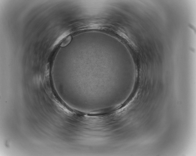 X0000099481450200805091558