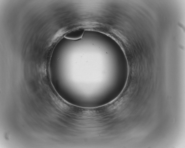 X0000099481451200805091558