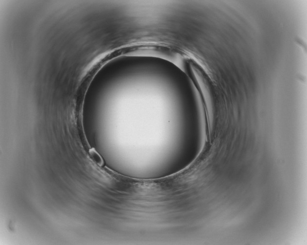 X0000099481452200805091558