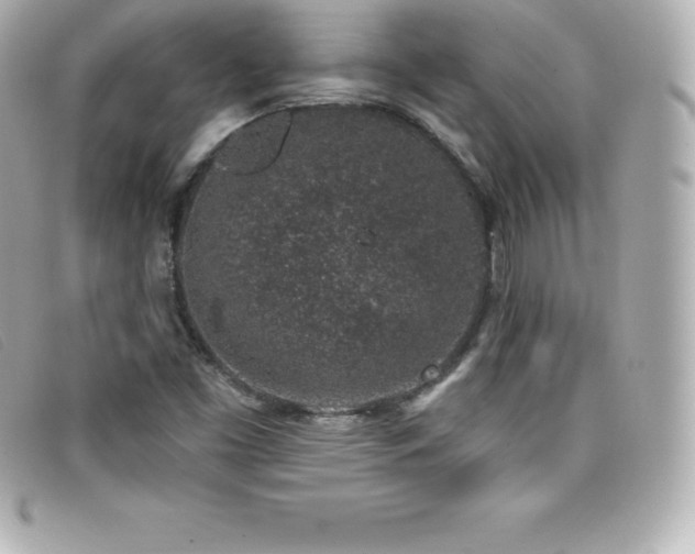 X0000099481453200805091558