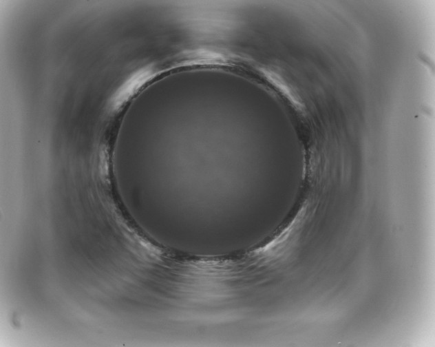 X0000099481455200805091558