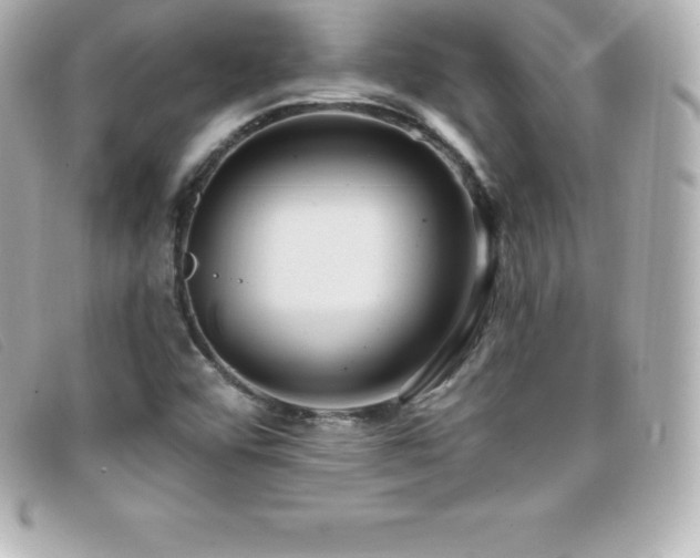 X0000099481456200805091558