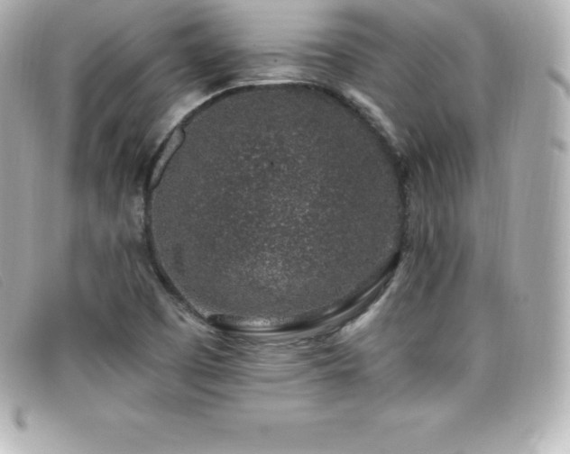 X0000099481457200805091558