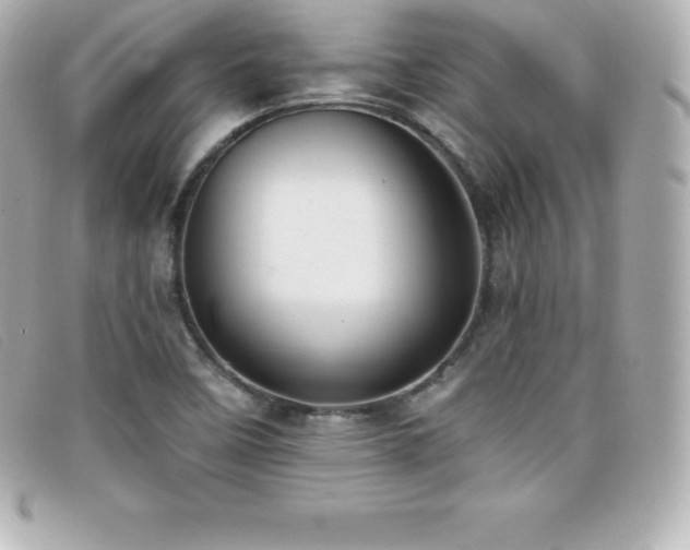 X0000099481458200805091558
