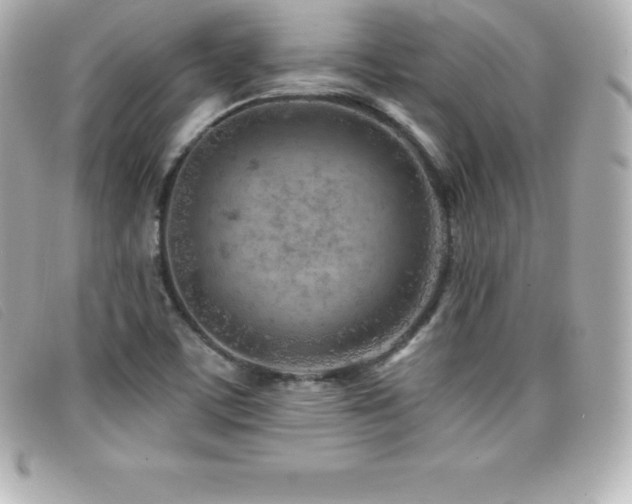 X0000099481459200805091558