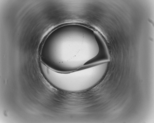 X0000099481460200805091558