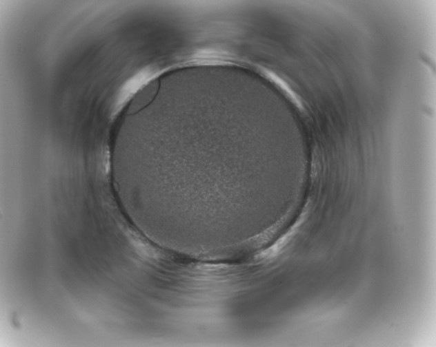X0000099481461200805091558