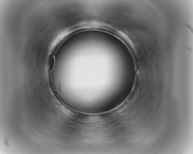 X0000099481464200805091558