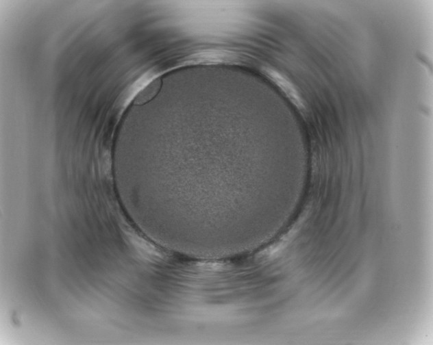 X0000099481465200805091558