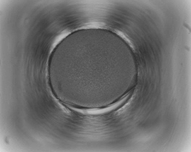 X0000099481469200805091558