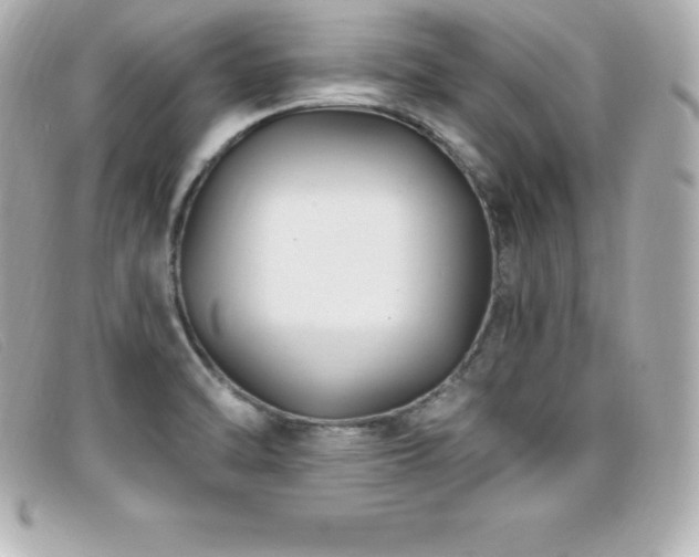 X0000099481470200805091558
