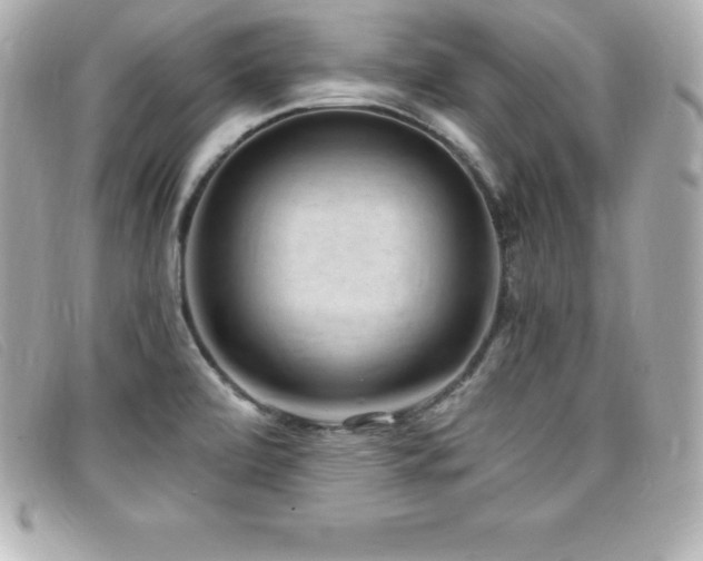 X0000099481472200805091558
