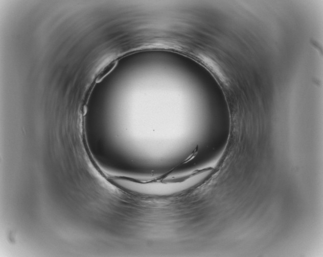 X0000099481476200805091558