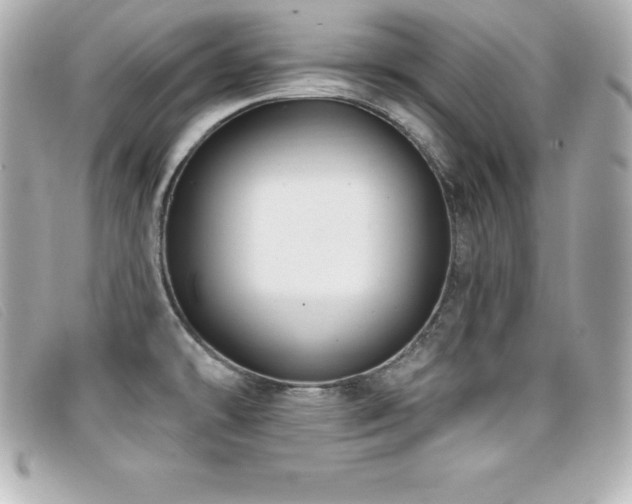 X0000099481478200805091558