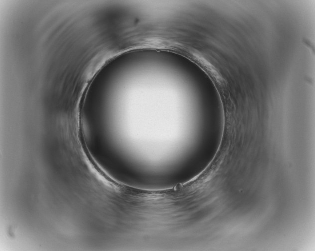 X0000099481479200805091558