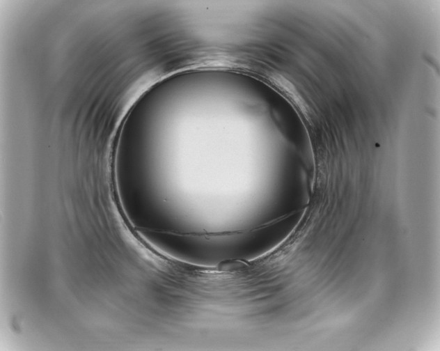 X0000099481483200805091558