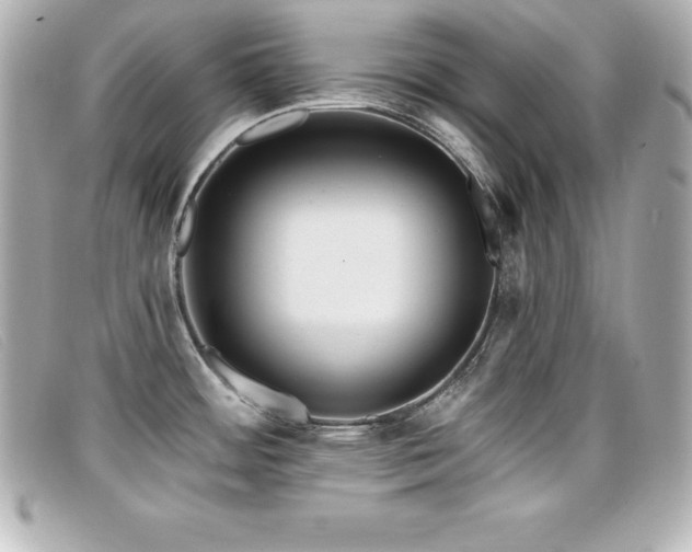 X0000099481484200805091558