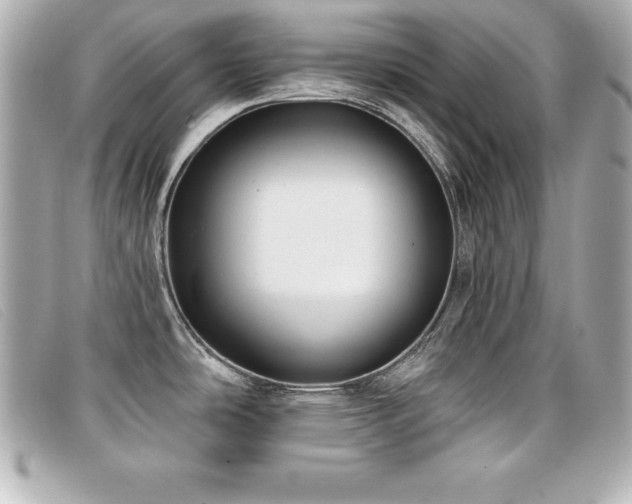X0000099481486200805091558