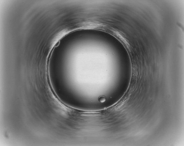 X0000099481487200805091558