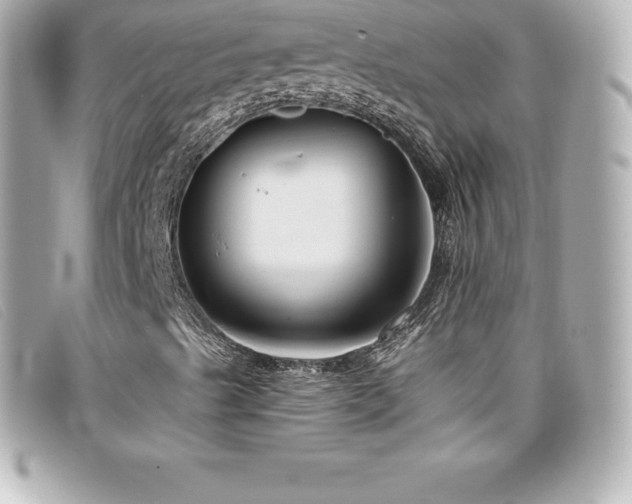 X0000099481489200805091557