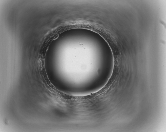 X0000099481493200805091557