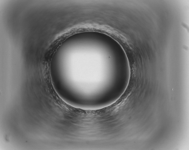 X0000099481494200805091557
